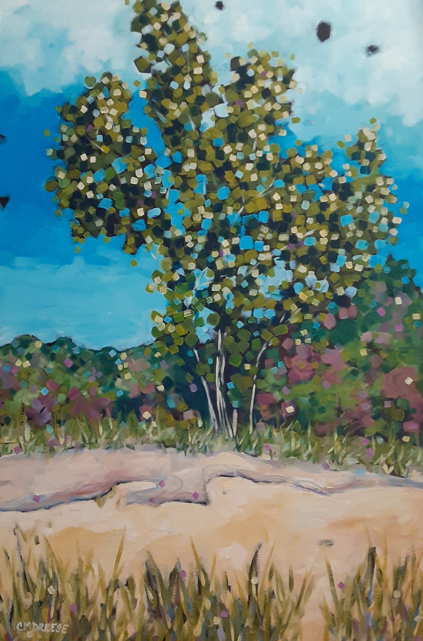 "The Pace of Nature" Giclee Print on Paper or Canvas. Michigan Artist Christi Dreese