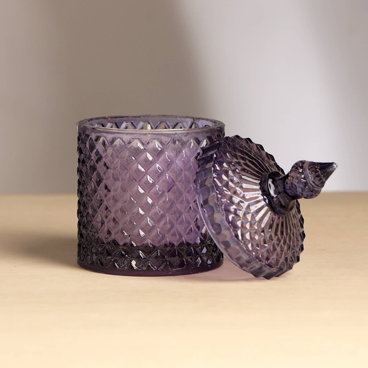 Plush Radiance Scented Wax Candle