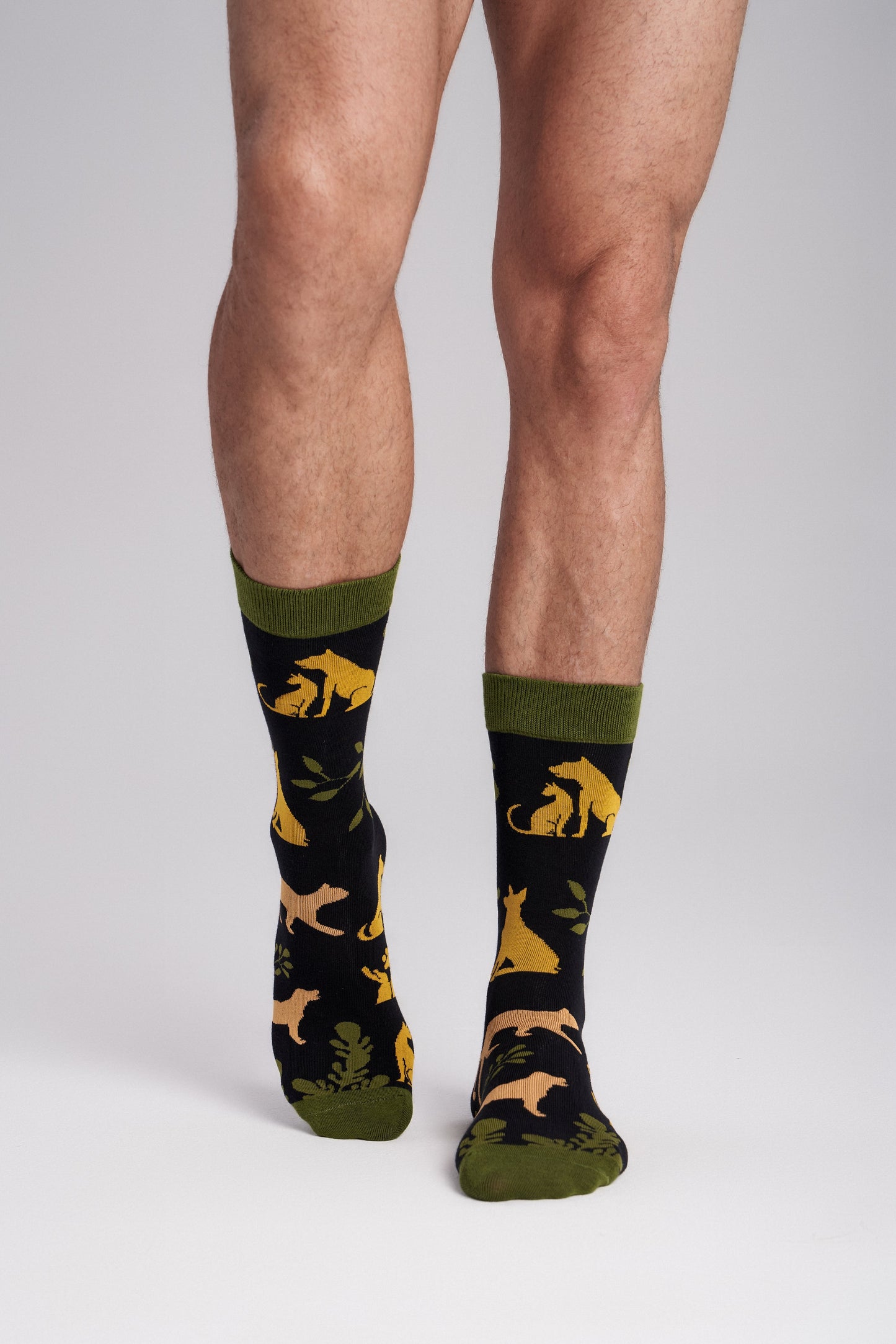 6-Pack Collectible Art Crew Socks – Animal Rescue & Welfare