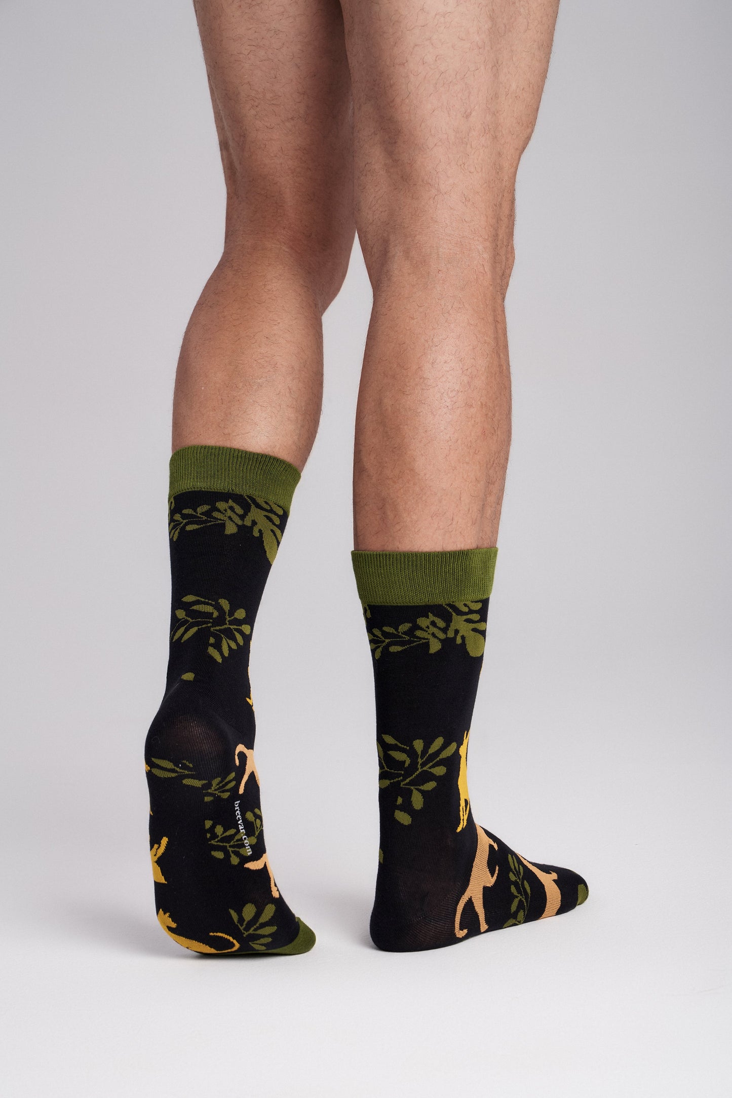 6-Pack Collectible Art Crew Socks – Animal Rescue & Welfare
