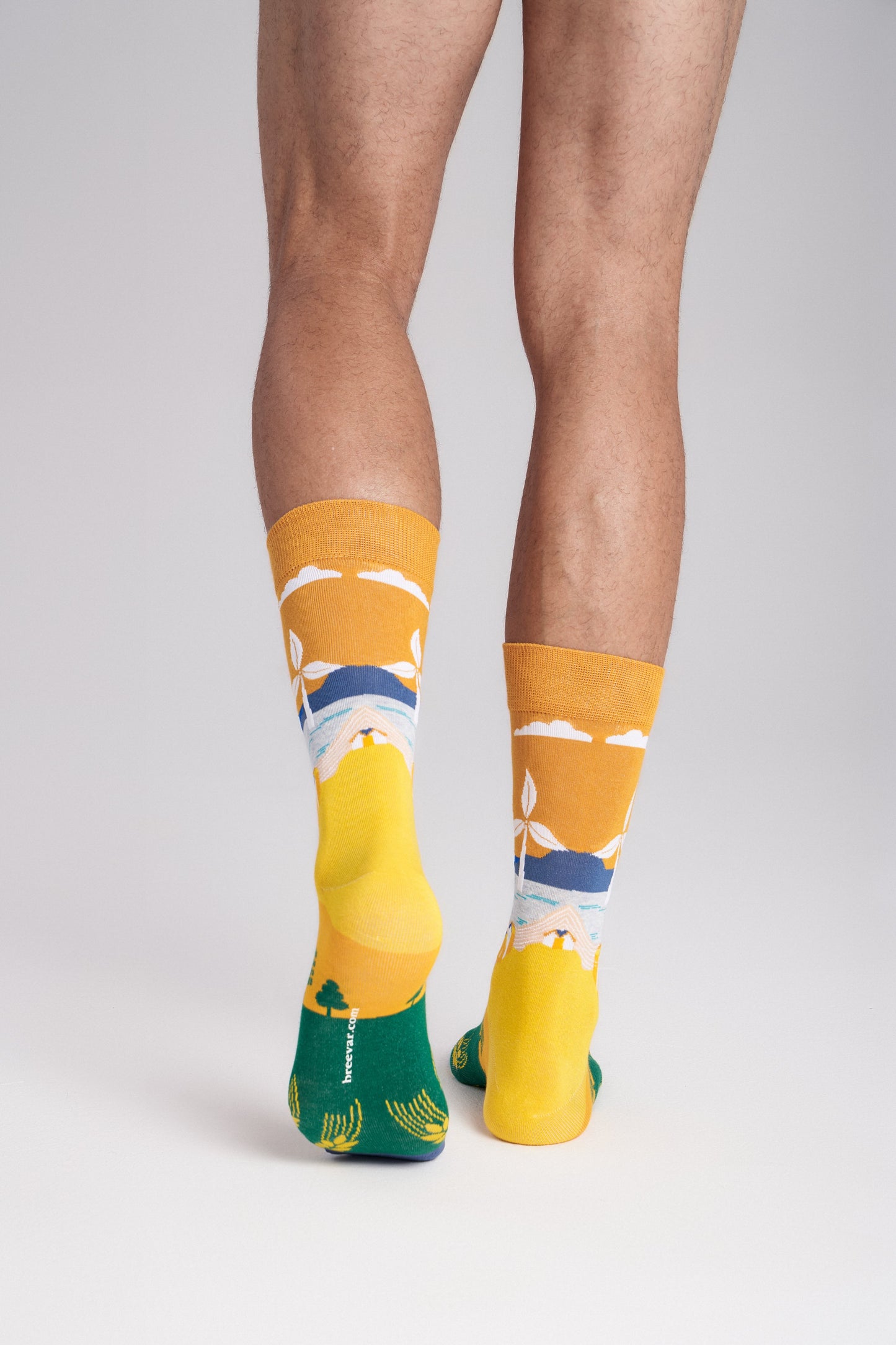 6-Pack Collectible Art Crew Socks – Clean Energy & Climate Action