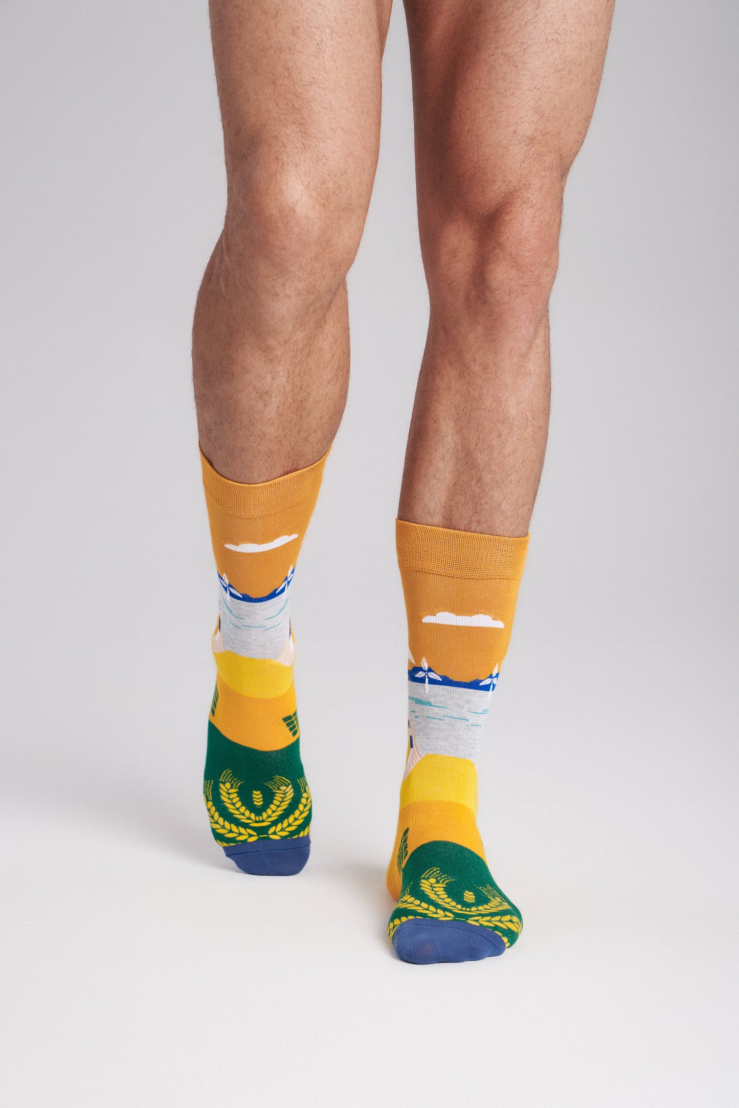 Collectible Art Crew Socks – Clean Energy & Climate Action