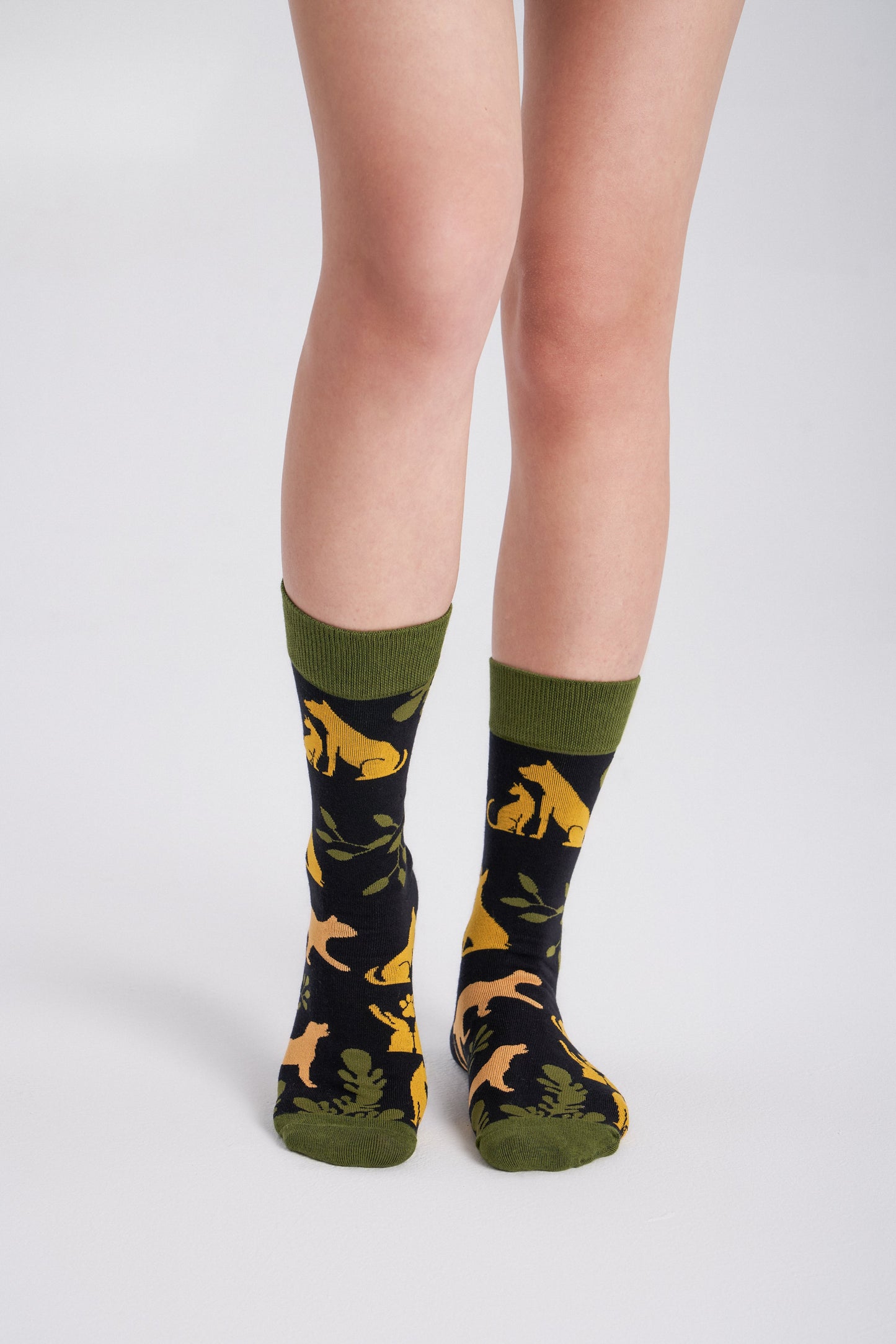 3-Pack Collectible Art Crew Socks – Animal Rescue & Welfare
