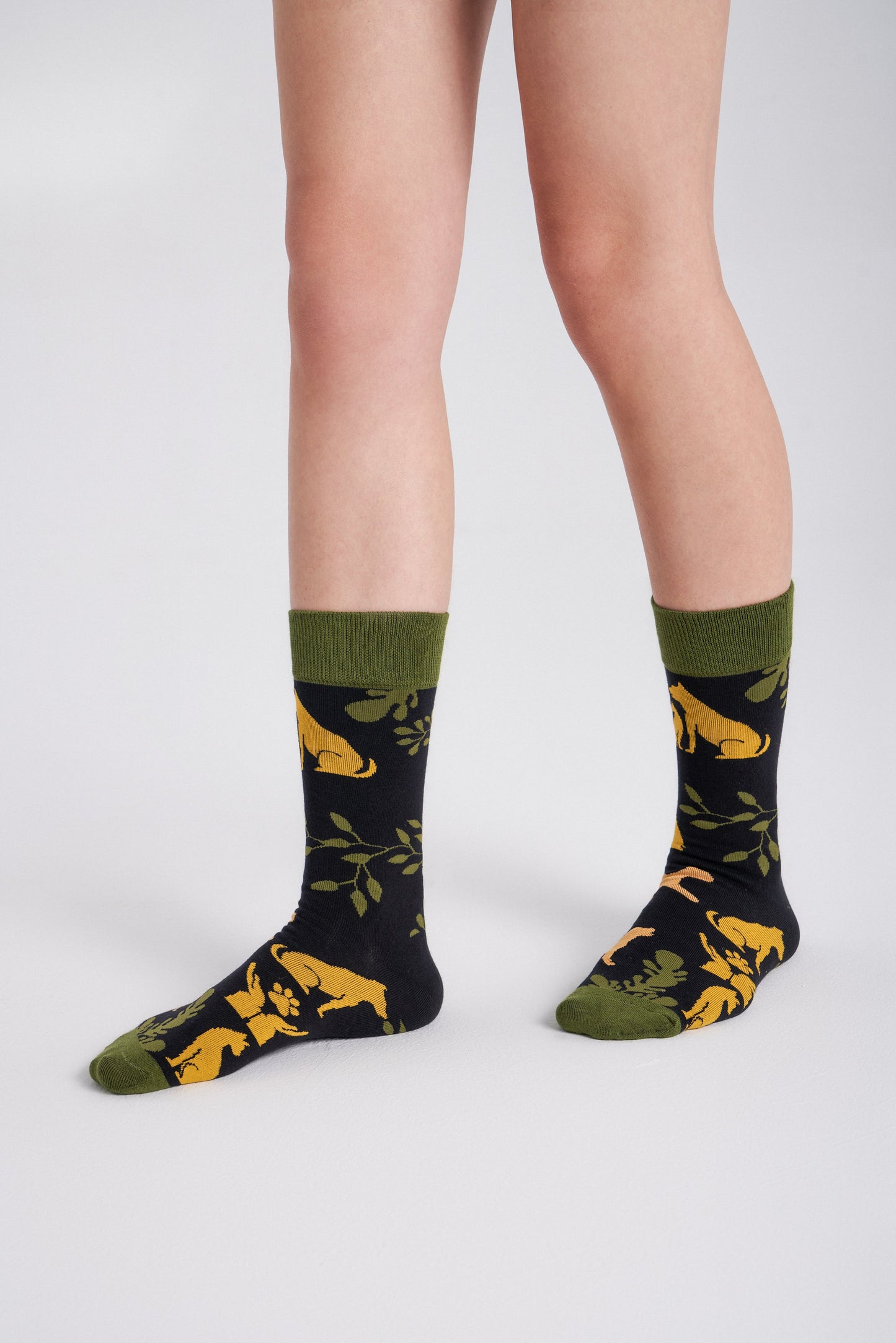 6-Pack Collectible Art Crew Socks – Animal Rescue & Welfare