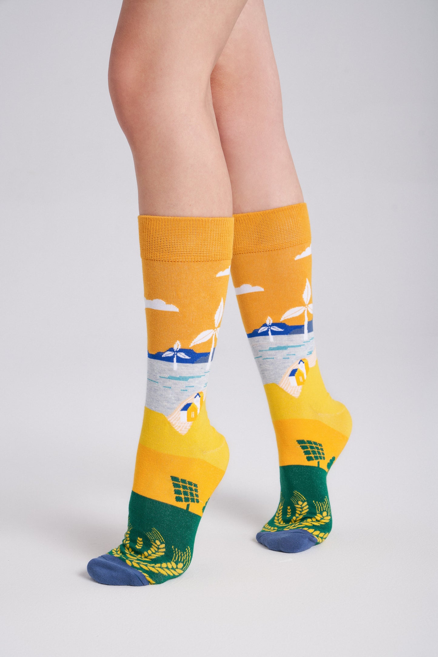 Collectible Art Crew Socks – Clean Energy & Climate Action