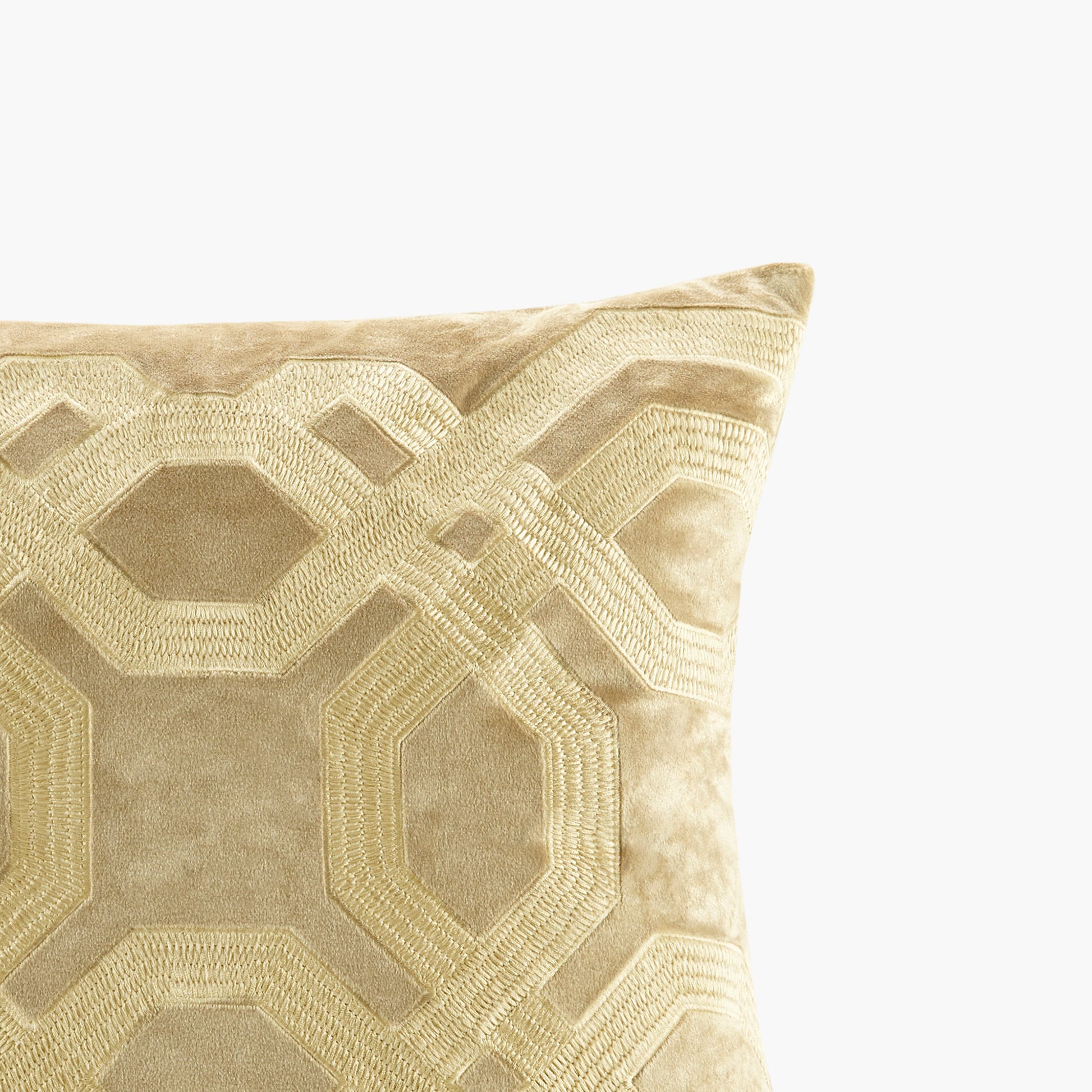 19419824