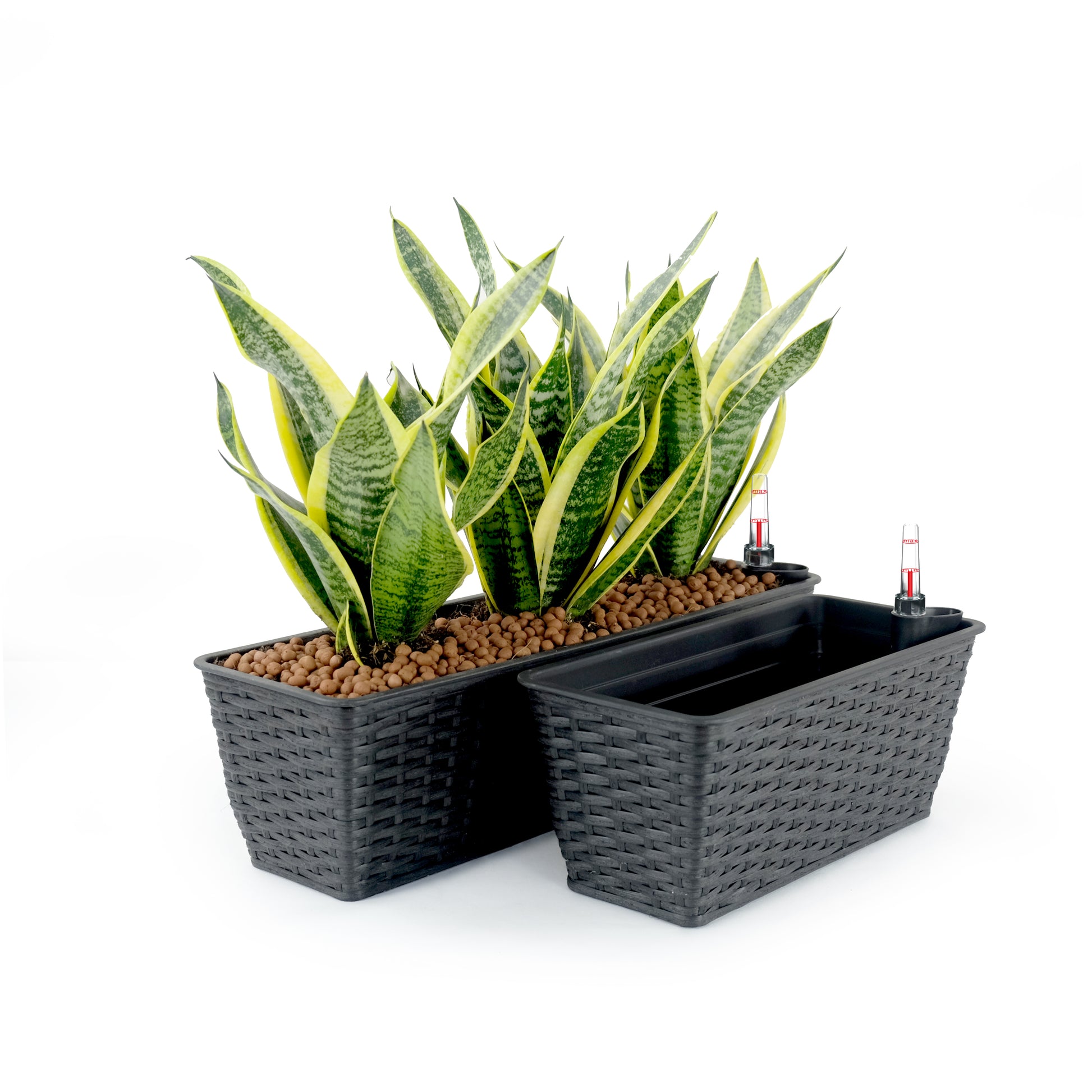 rectangle self watering planter 2-Pack Smart Self-watering Rectangle Planter for Indoor and Outdoor