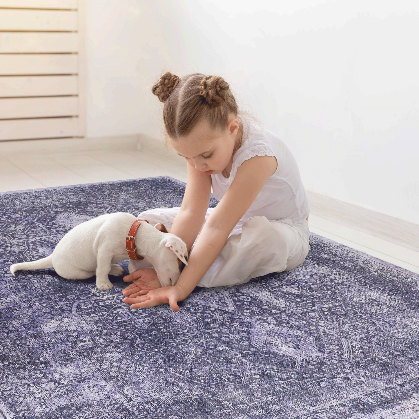 Area Rug, Washable Rug, Low-Pile, Non-Slip, Non-Shedding, Foldable, Kid & Pet Friendly - Area Rugs for living room, bedroom, kitchen, dining room rug - Perfect Gifts, (Anthracite, 2'6'' x 10')