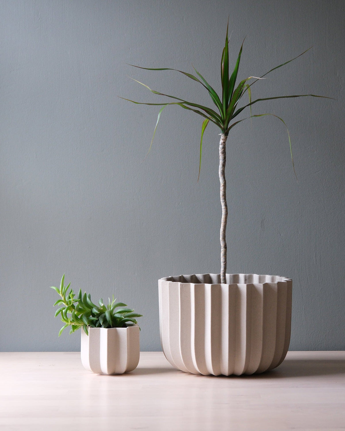 Wrap Planter - 4 sizes
