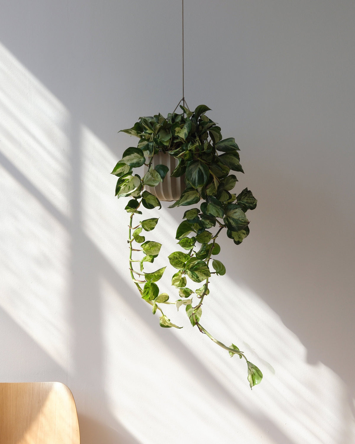 Wrap Planter - 4 sizes