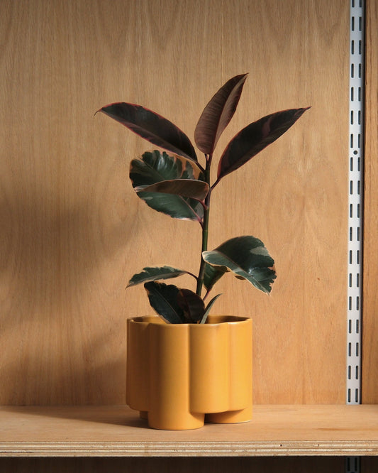 Pillar Planter