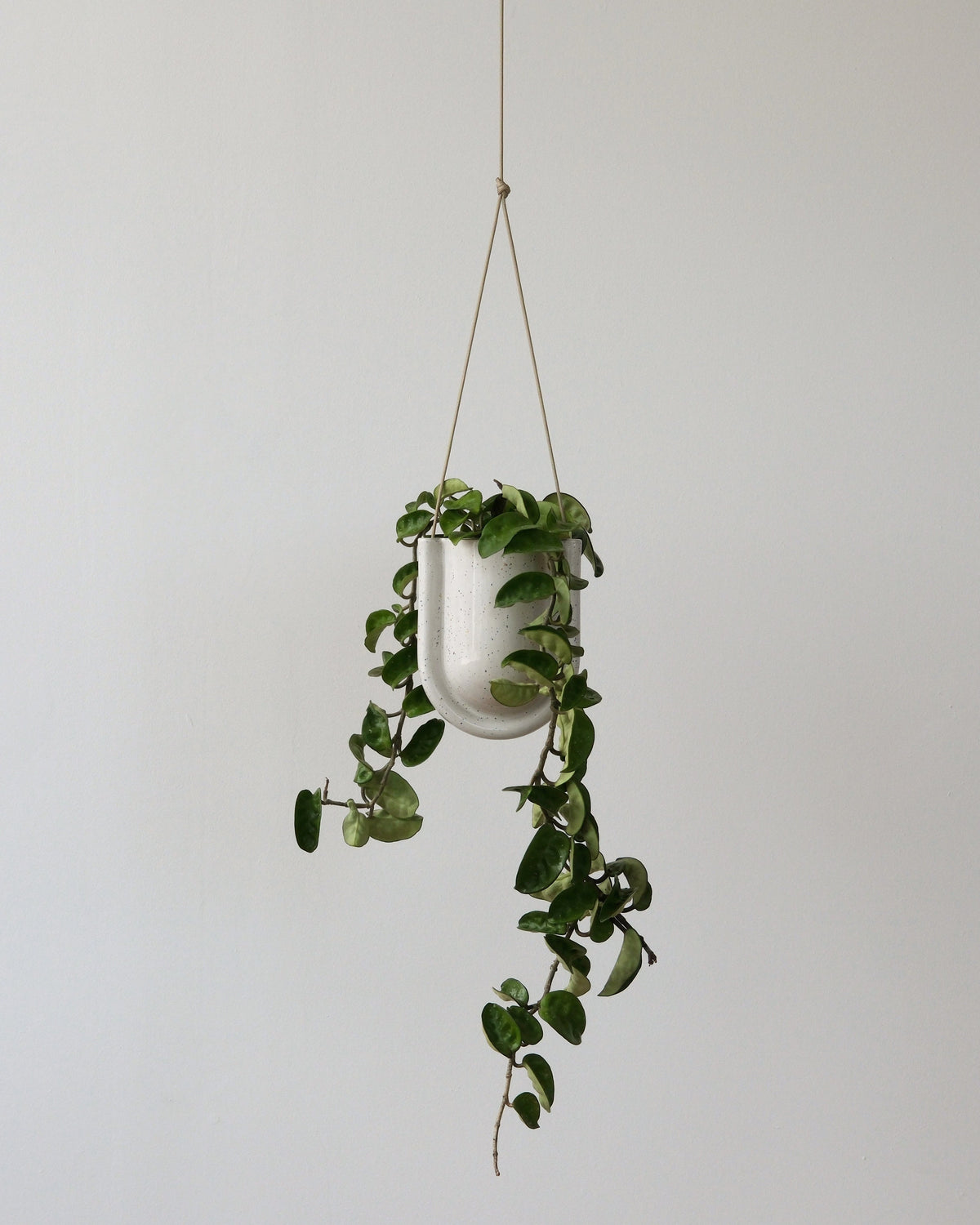 Portico Planter