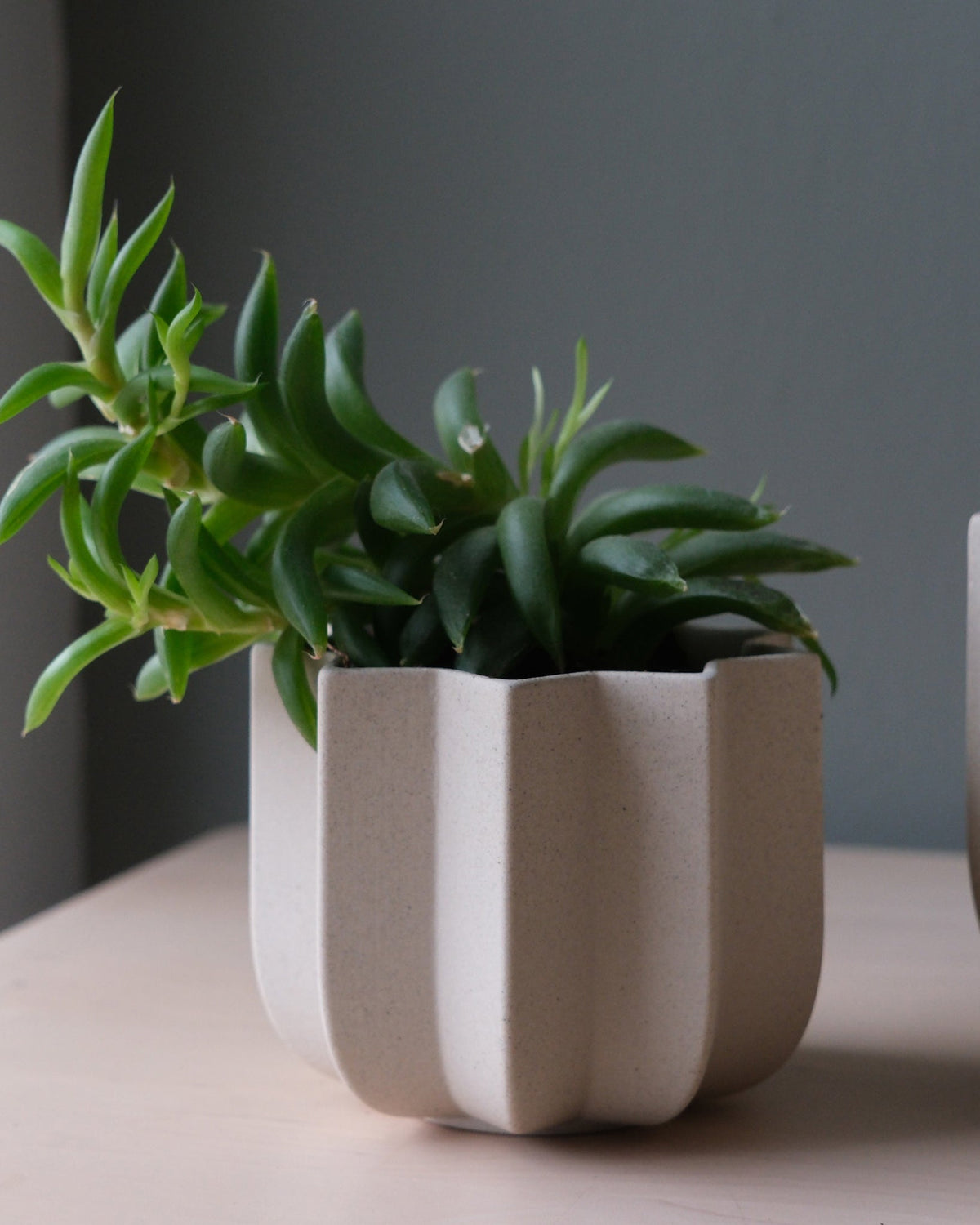 Wrap Planter - 4 sizes