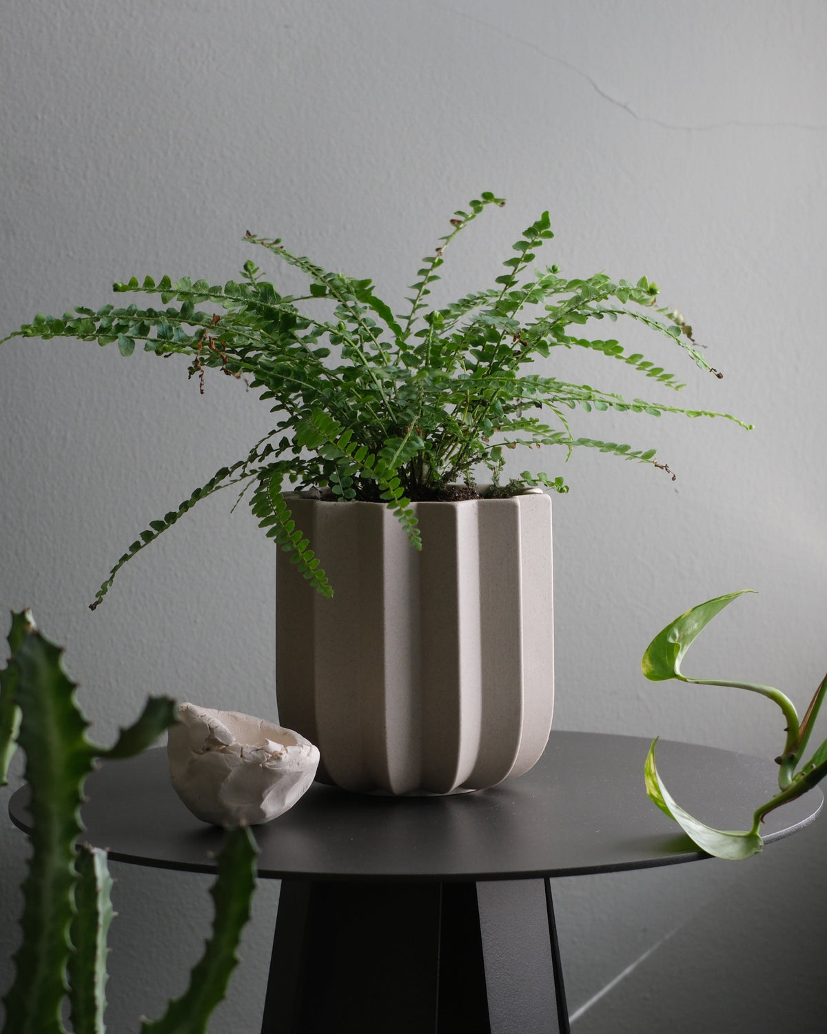 Wrap Planter - 4 sizes