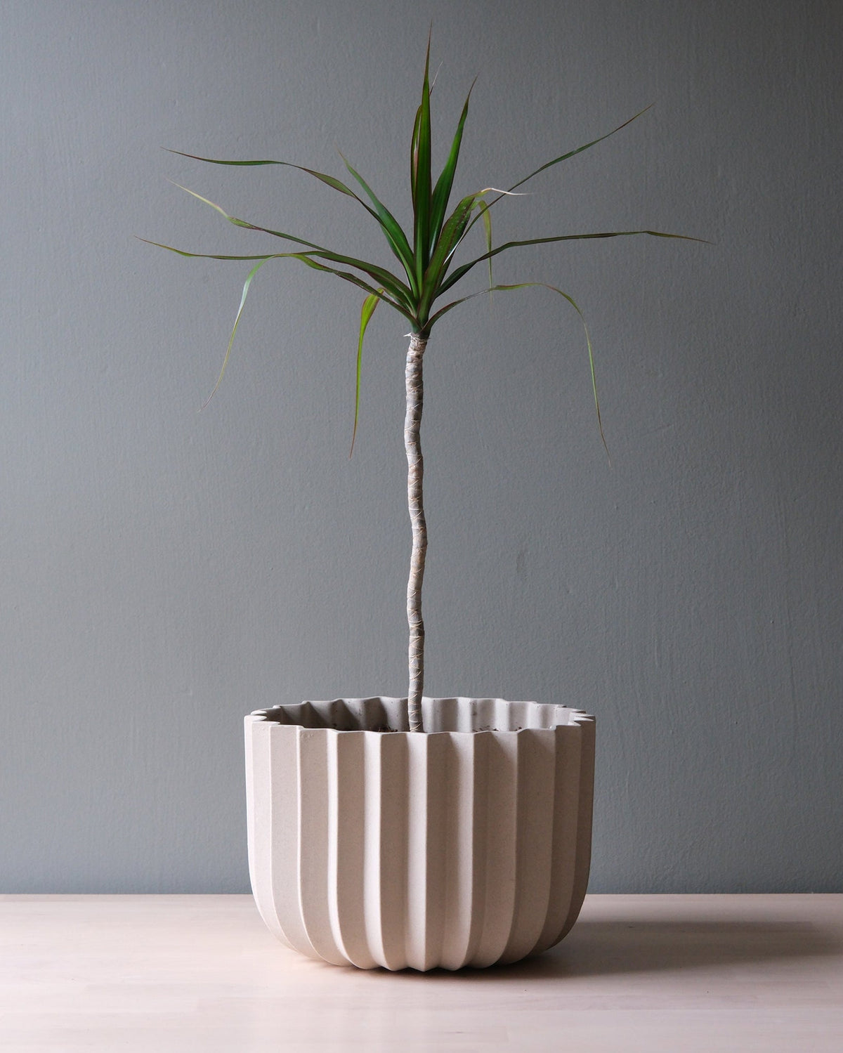 Wrap Planter - 4 sizes