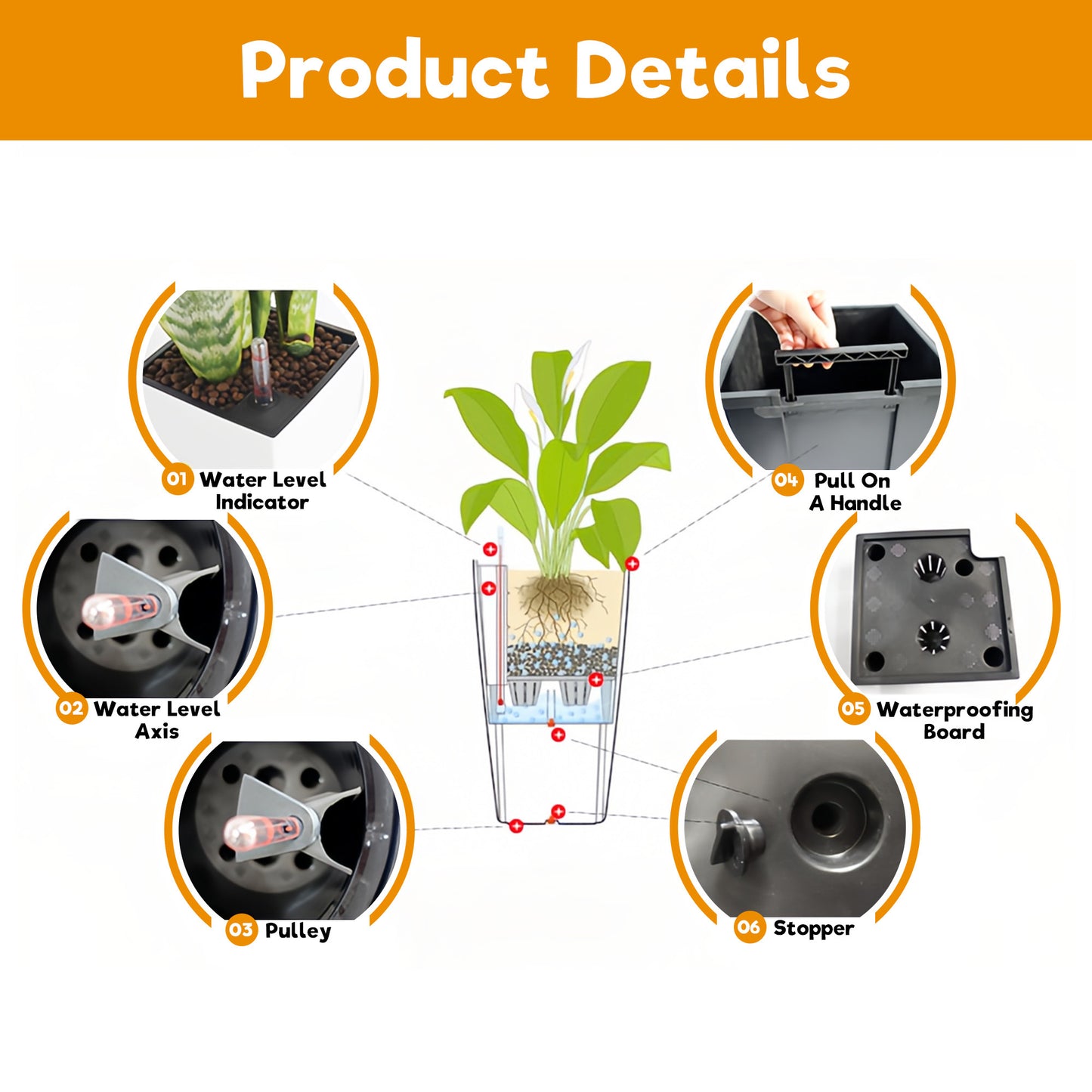 21767275