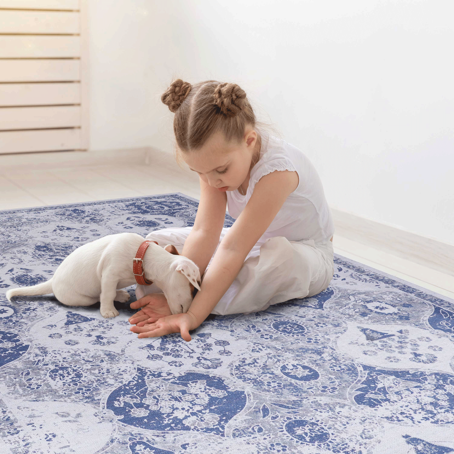 3x5 Area Rugs, Blue Area Rug, Washable Rug, Low-Pile, Non-Slip, Non-Shedding, Foldable, Kid & Pet Friendly - Area Rugs for living room, bedroom, kitchen, dining room - Perfect Gift, (Blue, 3x5)